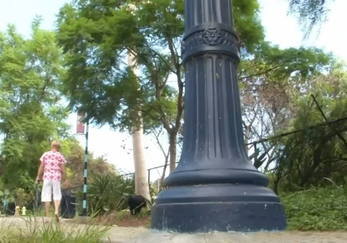 Dog urine destroying lampposts in San Diego