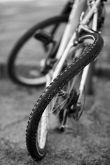 San Marcos Bicycle Accident